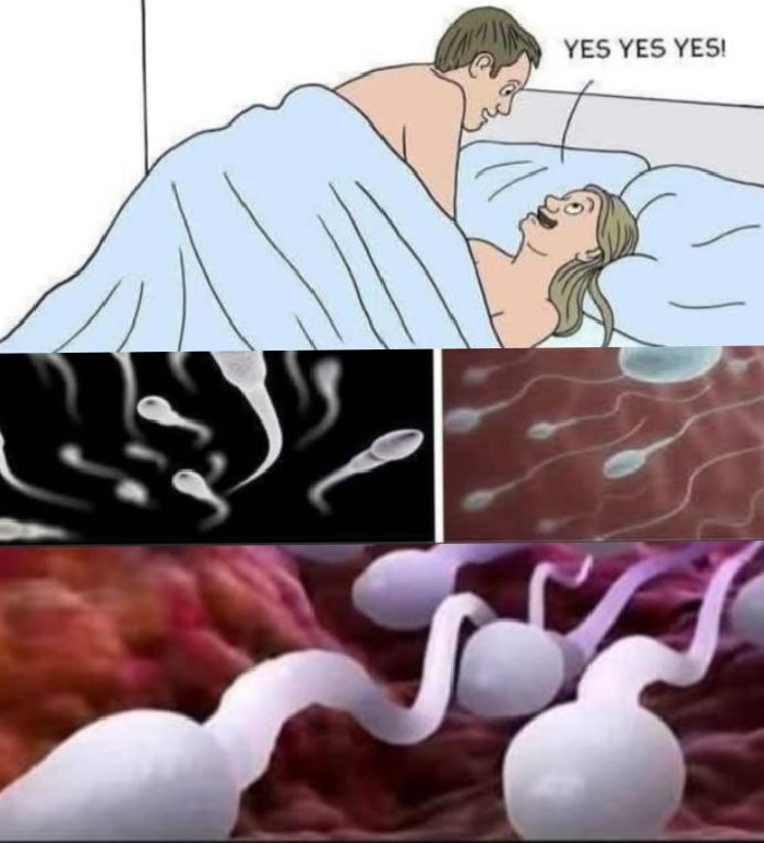 Studies reveal that swallowing your partner’s semen…See More  