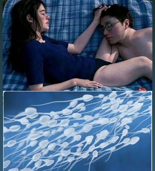 Many know! Studies reveal that swallowing your partner’s semen…See more    