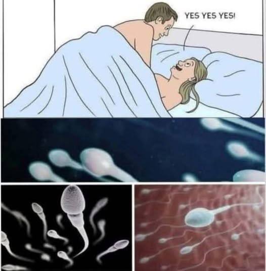 Many know! Studies reveal that swallowing your partner’s semen…See more