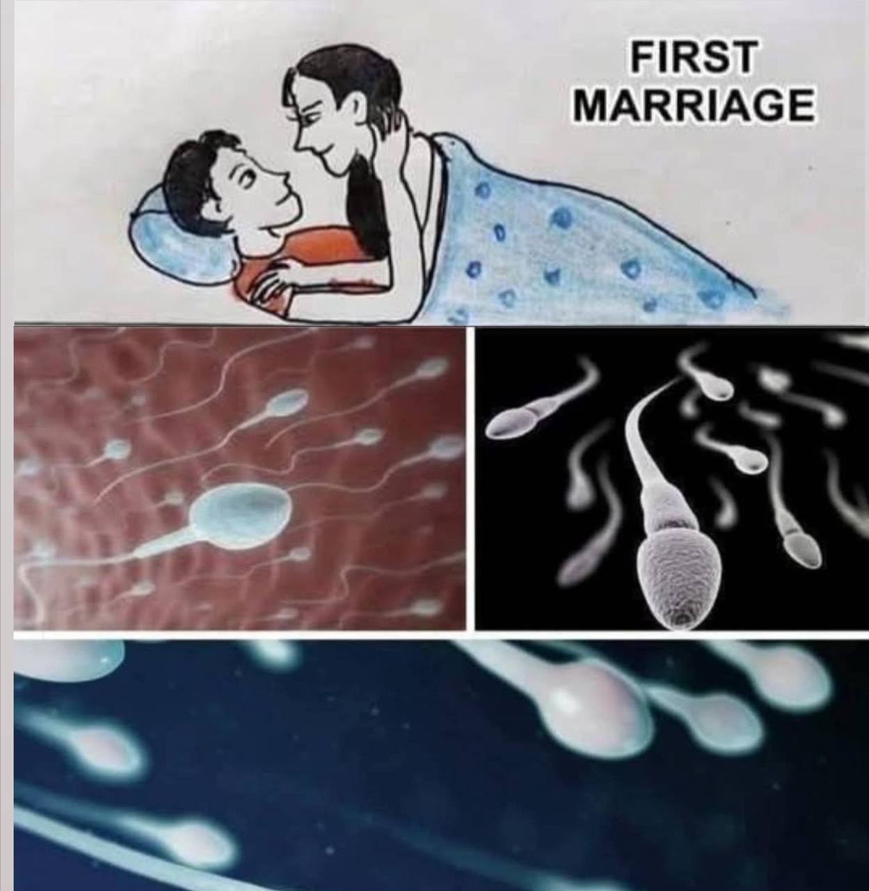 Studies reveal that swallowing your partner’s semen…See More  
